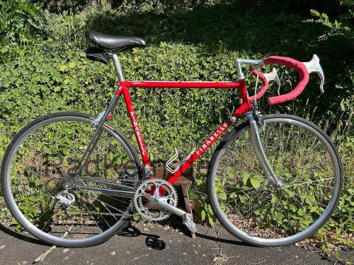 Pinarello Treviso  technische daten 